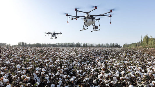 Drones spraying over cotton field, highlighting industrial pesticide use & environmental harm in cotton farming.